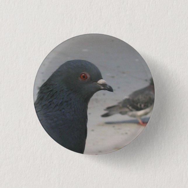 Macaron Rond 2,50 Cm Pigeon (Devant)