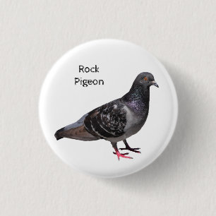 Macaron Rond 2,50 Cm Pigeon
