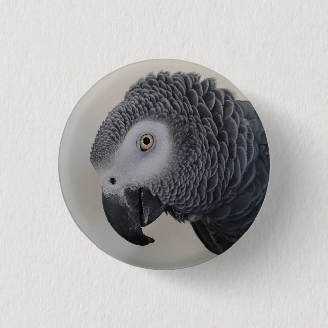 Macaron Rond 2,50 Cm Pin de perroquet de gris africain/insigne (Devant)