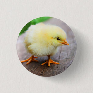 Macaron Rond 2,50 Cm Pin de poussin