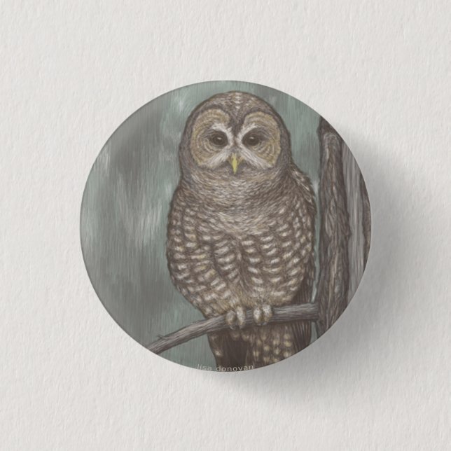 Macaron Rond 2,50 Cm Pin repéré de hibou (Devant)