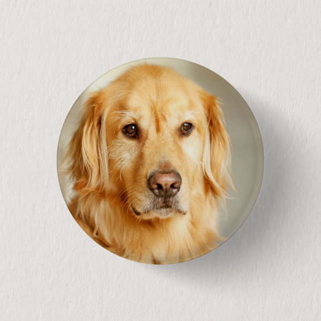 Macaron Rond 2,50 Cm Portrait Golden Retriever (Devant)