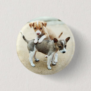 Macaron Rond 2,50 Cm Puppies mignonnes jouer sur la plage