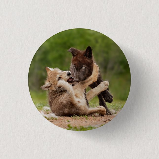 Macaron Rond 2,50 Cm Pups de loup gris se déplaçant (Devant)