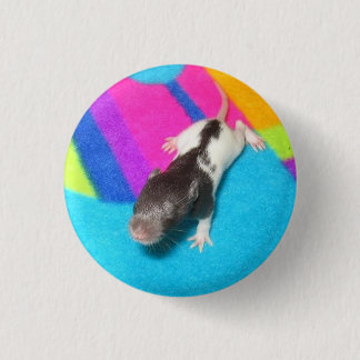 Macaron Rond 2,50 Cm Rat à capuchon de bébé