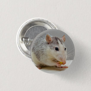 Macaron Rond 2,50 Cm Rat gris et blanc
