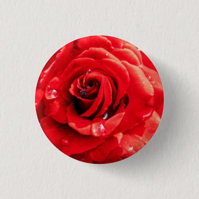 Macaron Rond 2,50 Cm Red rose flower (Devant)