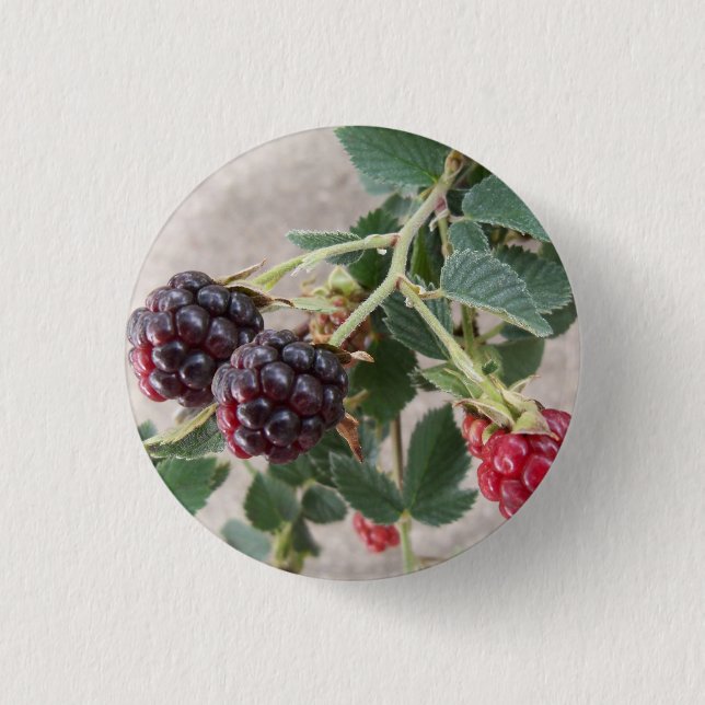 Macaron Rond 2,50 Cm Ripening Blackberry (Devant)