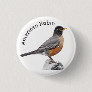Macaron Rond 2,50 Cm Robin américain