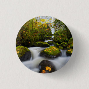 Macaron Rond 2,50 Cm Ruisseau McCord Grand Érable   Columbia Gorge, OR