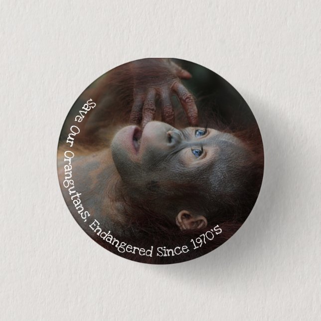 Macaron Rond 2,50 Cm Sauvez nos Orangutans (Devant)
