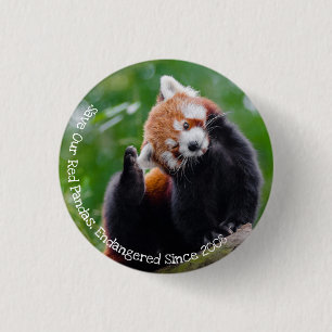 Macaron Rond 2,50 Cm Sauvez nos pandas rouges