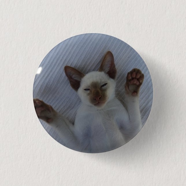 Macaron Rond 2,50 Cm Siamese cat button (Devant)