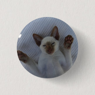 Macaron Rond 2,50 Cm Siamese cat button