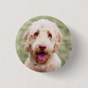 Macaron Rond 2,50 Cm Souriant d'endoodle doré