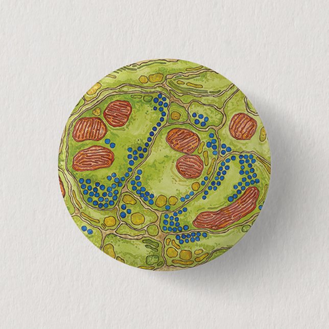 Macaron Rond 2,50 Cm Synapse de TEM - Pin et bouton (Devant)