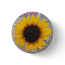 Tournesol