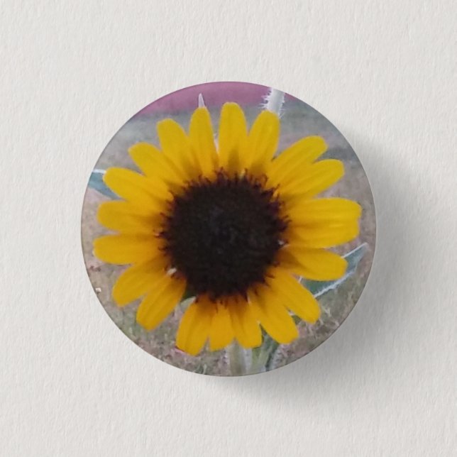 Macaron Rond 2,50 Cm Tournesol (Devant)