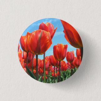 Macaron Rond 2,50 Cm Tulipes