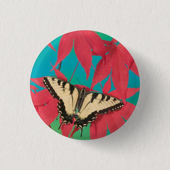 Macaron Rond 2,50 Cm Un papillon swallowtail tigre canadien (Devant)