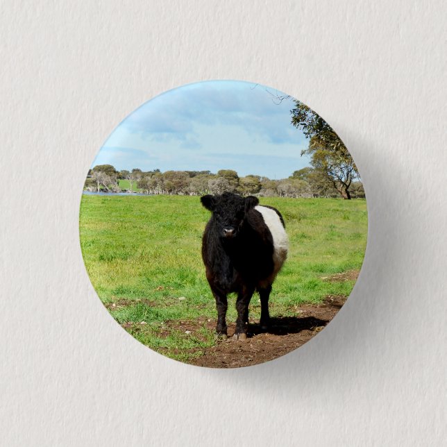 Macaron Rond 2,50 Cm Vache galloway à ceinture femelle, anneau de clé (Devant)