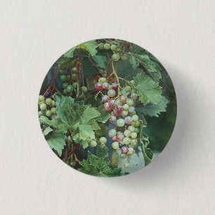 Macaron Rond 2,50 Cm Vigne Réaliste avec Feuilles – Art Fin