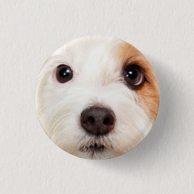 Macaron Rond 2,50 Cm Visage de chiot (Devant)