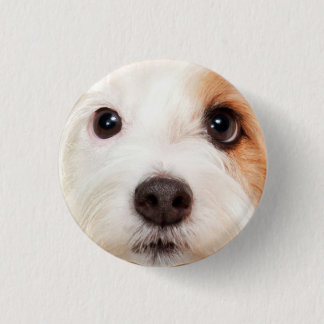 Macaron Rond 2,50 Cm Visage de chiot