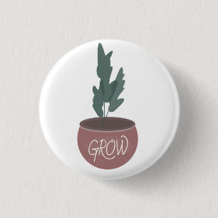 Macaron Rond 2,50 Cm ZZ Botanique Houseplants Plante Pot Vert