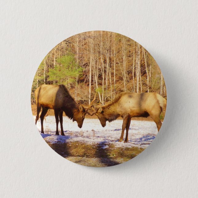 Macaron Rond 5 Cm 2~ deux Bull Elk dans la neige (Devant)