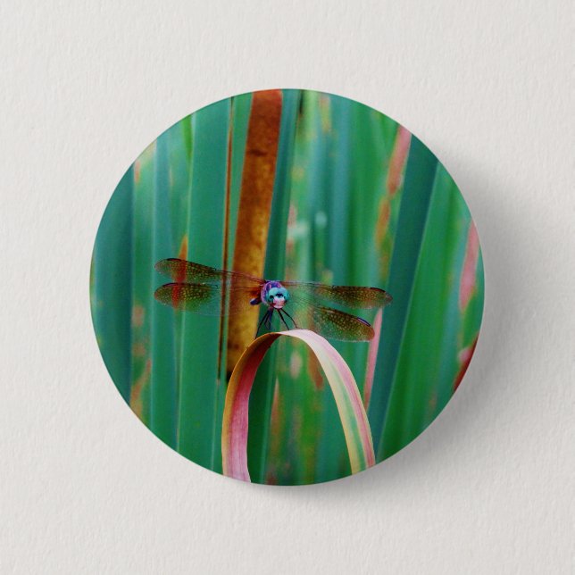 Macaron Rond 5 Cm A teal Eyed Dragonfly with cattails (Devant)