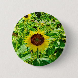 Macaron Rond 5 Cm Abeille sur tournesol jaune