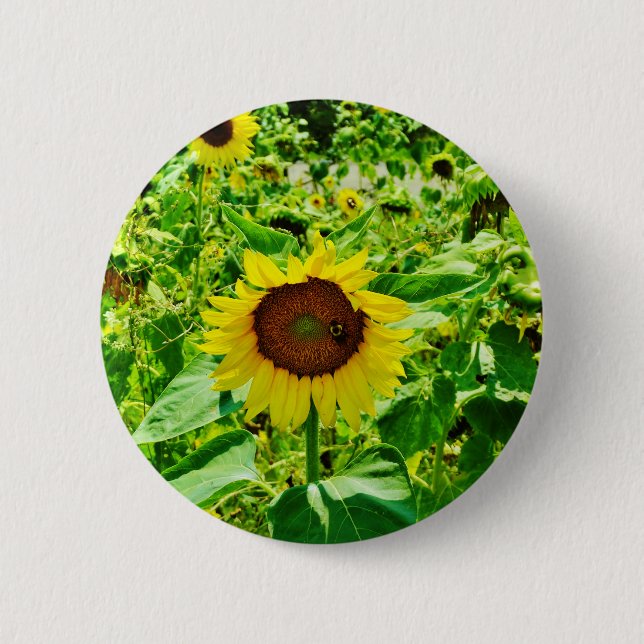 Macaron Rond 5 Cm Abeille sur tournesol jaune (Devant)