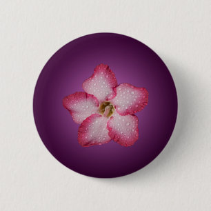 Macaron Rond 5 Cm Adénium Fleur Rose Flore Dégradé Violet