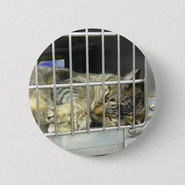 Macaron Rond 5 Cm Adoptez un bouton 001 de chat (Devant)