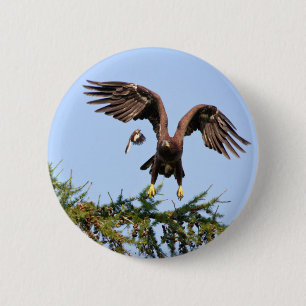 Macaron Rond 5 Cm Aigle à tête blanche pourchassé par un oiseau moqu