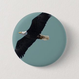 Macaron Rond 5 Cm aigle chauve en vol