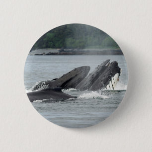 Macaron Rond 5 Cm Alimentation des baleines à bosse