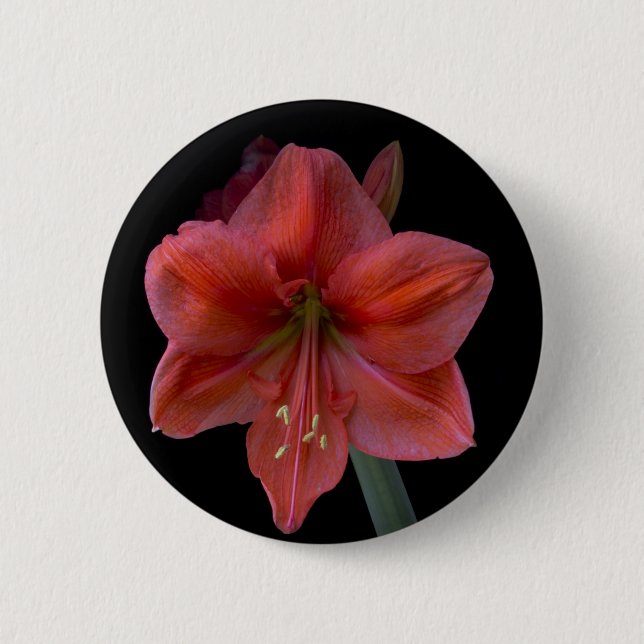 Macaron Rond 5 Cm Amaryllis (Devant)