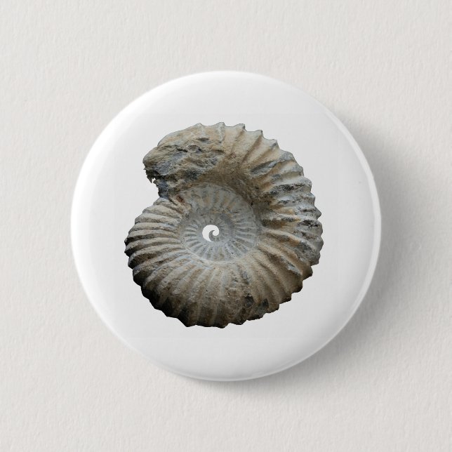 Macaron Rond 5 Cm ammonite (Devant)