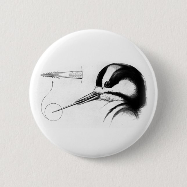 Macaron Rond 5 Cm Anatomie de la fièvre catarrhale (Devant)