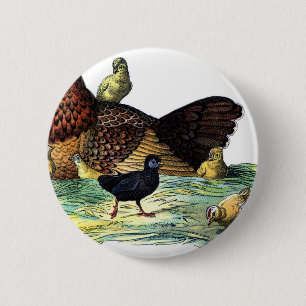 Macaron Rond 5 Cm Animal de cru de poulets