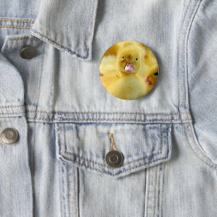 Macaron Rond 5 Cm Animaux de bébés cutest   Baby Duck Group