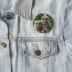 Macaron Rond 5 Cm Animaux de bébés cutest Deux jeunes hiboux