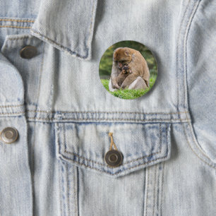 Macaron Rond 5 Cm Animaux de bébés cutest   Famille Barbary Macaque