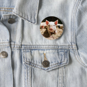 Macaron Rond 5 Cm Animaux de bébés cutest   Piglet bébé mignon