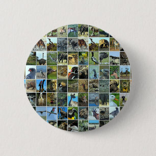 Macaron Rond 5 Cm Animaux du monde