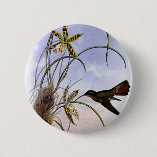 Macaron Rond 5 Cm Animaux Vintage, Fleurs d'orchidée colibri oiseau