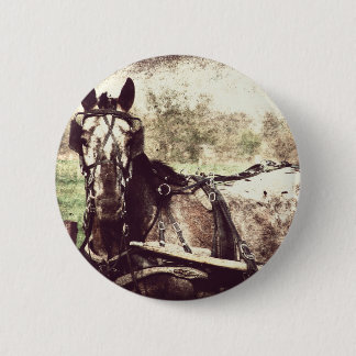 Macaron Rond 5 Cm Appaloosa Horse