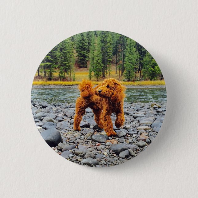 Macaron Rond 5 Cm Apricot Poodle - Cadeau Personnalisable (Devant)